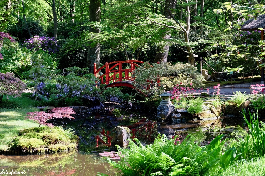 Japanse tuin, Den Haag