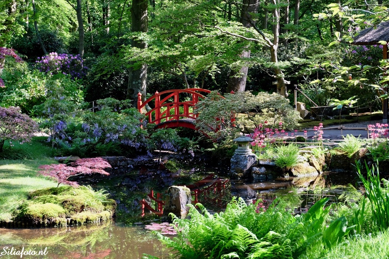 Japanse tuin, Den Haag